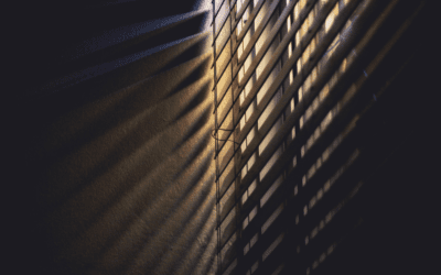Dark and Light Shadows