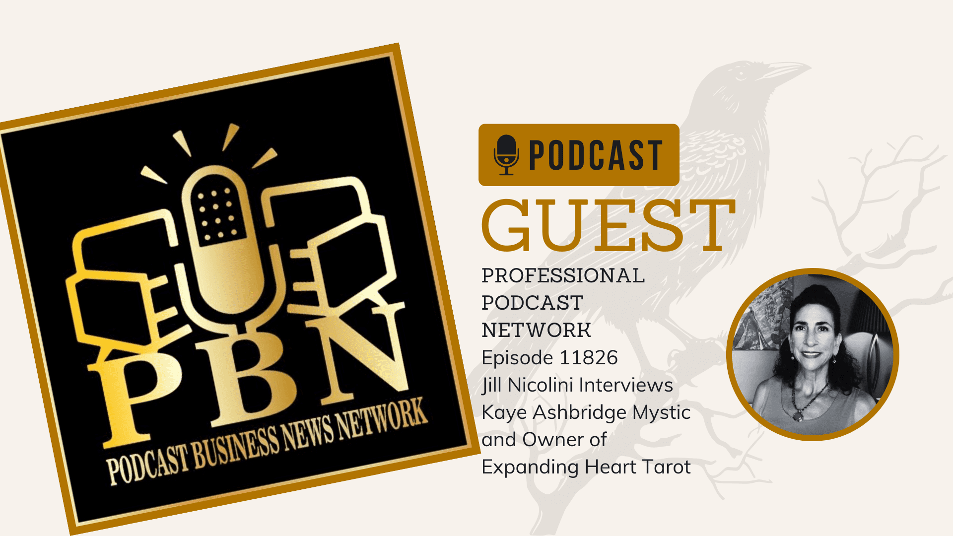 Professional podcast network